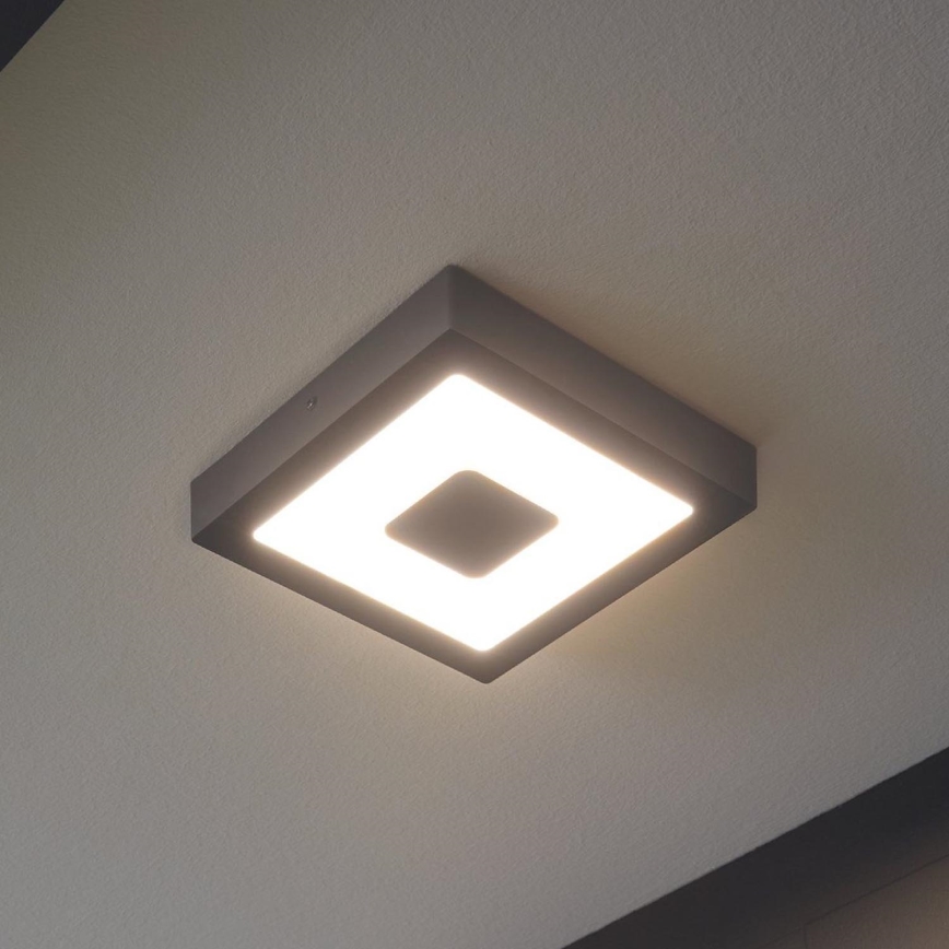 Eglo - LED Plafón exterior LED/16,5W/230V IP44