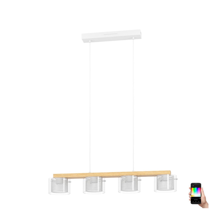 Eglo - LED RGBW Lámpara colgante regulable 4xLED/3,7W/230V 2700-6500K