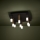 Eglo - Plafón LED regulable 9xLED/3,1W/230V 3000K antracita/dorado
