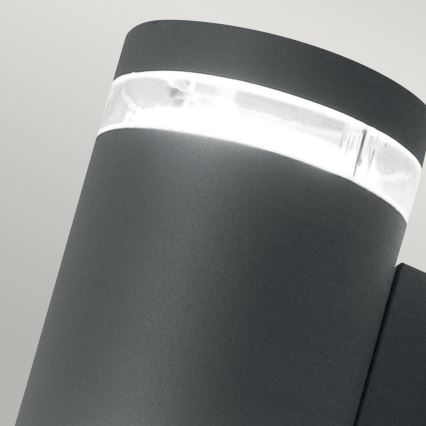 Elstead - Aplique LED para exterior MAGNUS 2xGX53/9W/230V IP44