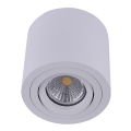 Emithor 48606 - Foco de techo SURFACE 1xGU10/50W/230V