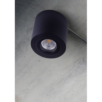 Emithor 48607 - Foco de techo SURFACE 1xGU10/50W/230V