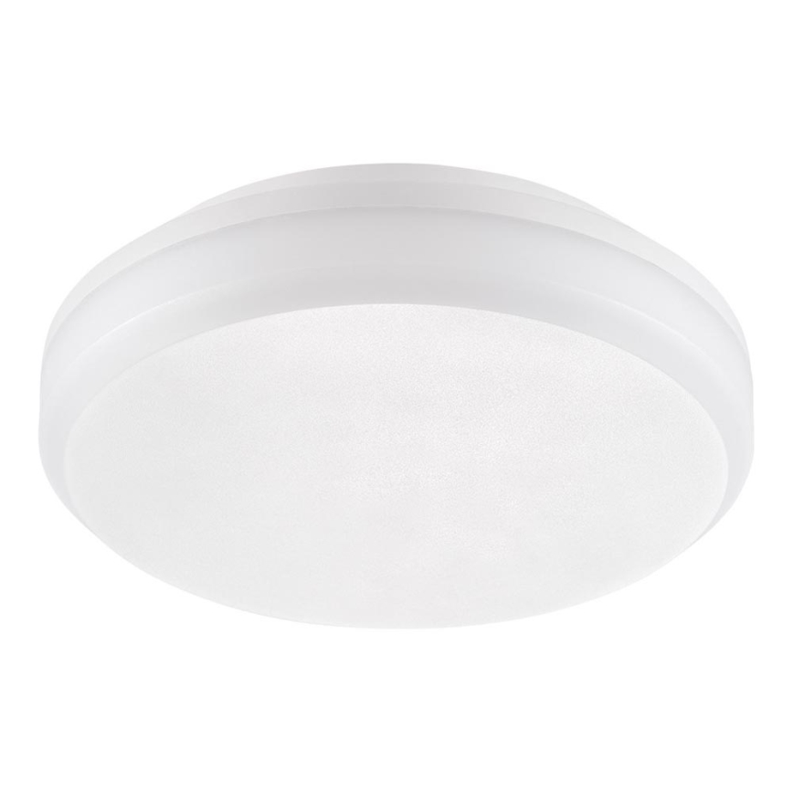 Emithor 63207 - LED Plafón técnico SURFACE 1xLED/30W/230V IP65