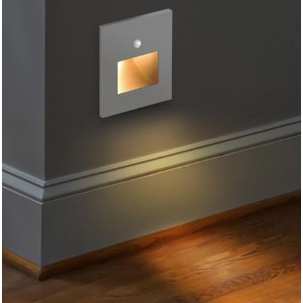 Emithor 70416 - Lámpara LED para escaleras con sensor SUNNY LED/1W/230V 4000K gris