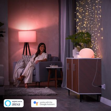 Toma inteligente Philips Smart plug EU
