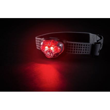 Energizer - Linterna frontal LED con luz roja LED/3xAAA IPX4