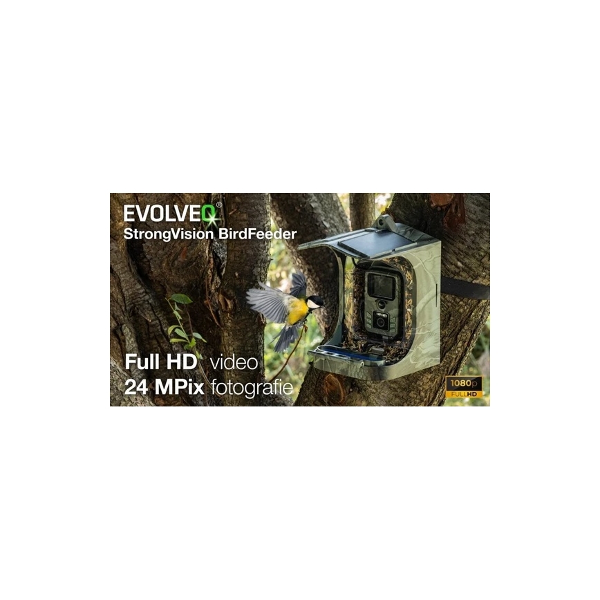 Evolveo - StrongVision BirdFeeder - comedero inteligente para aves con cámara y paneles solares