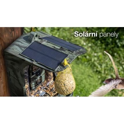 Evolveo - StrongVision BirdFeeder - comedero inteligente para aves con cámara y paneles solares