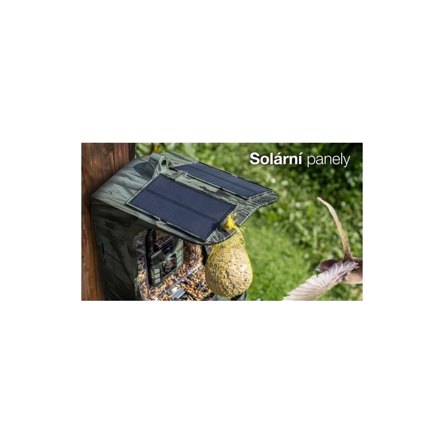 Evolveo - StrongVision BirdFeeder - comedero inteligente para pájaros con cámara