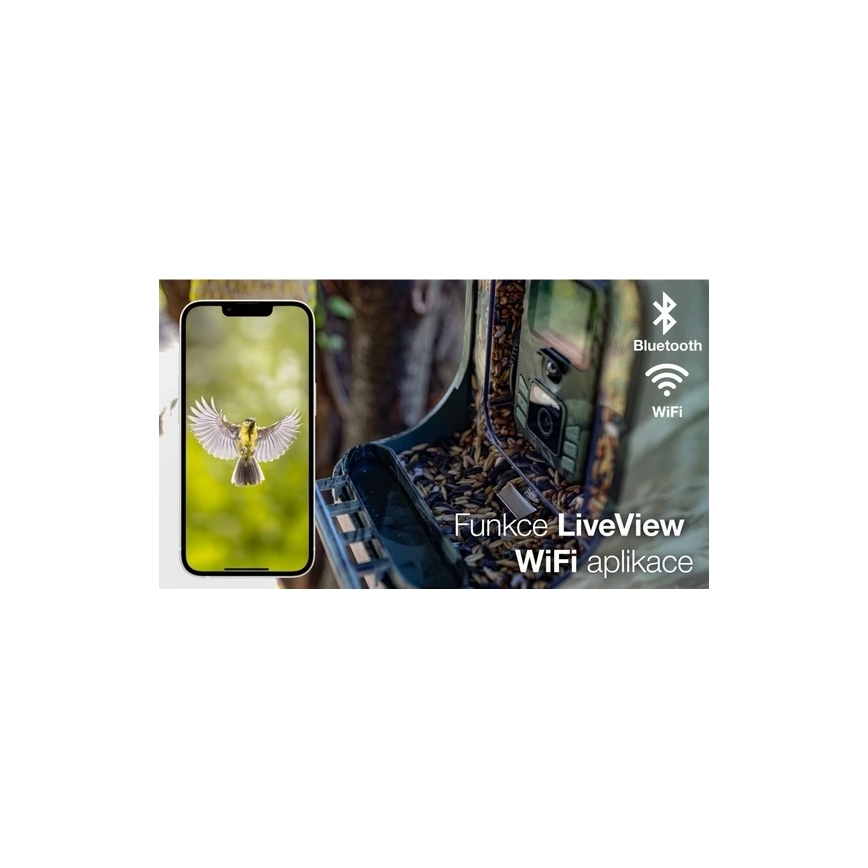 Evolveo - StrongVision BirdFeeder - comedero inteligente para pájaros con cámara