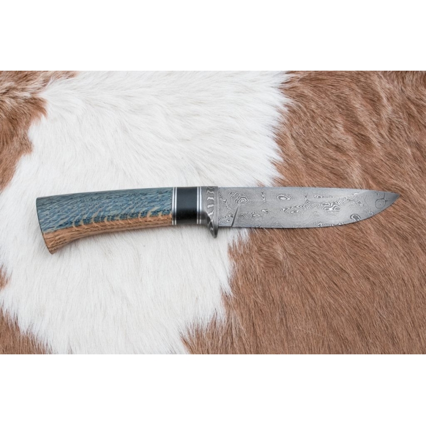 Exclusivo cuchillo Damasco 12,7 cm roble/ébano