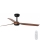 FARO 33817 - Ventilador de techo PUNT marrón/negro Ø 130 cm + control remoto