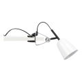 FARO 51135 - Lámpara con clip STUDIO 1xE14/8W/230V