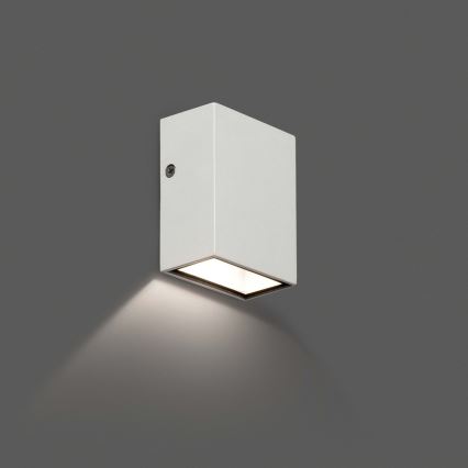 FARO 70567N - Aplique LED para exterior CANON LED/4W/230V IP44
