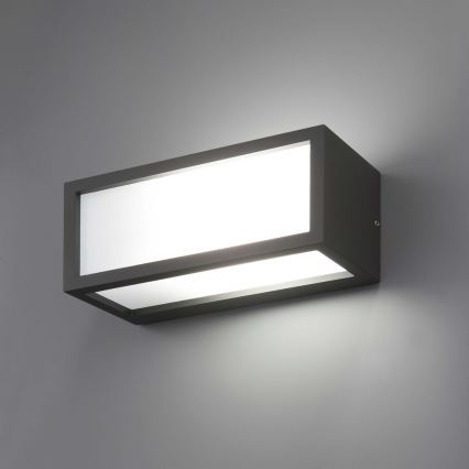 FARO 70573 - Aplique de exterior TEJO 1xE27/20W/230V IP54