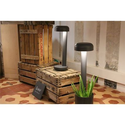 FARO 71206 - Luminaria exterior LED GROW LED/9W/230V IP65