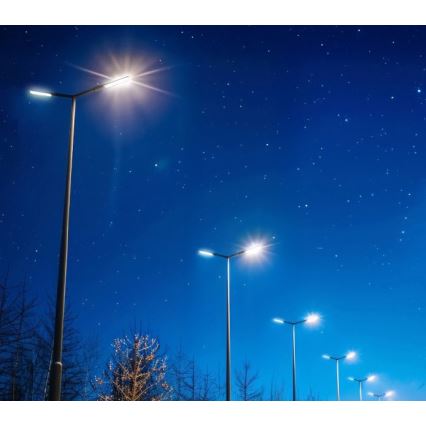 Farola LED BRELUXO LED/50W/230V 4000K IP65