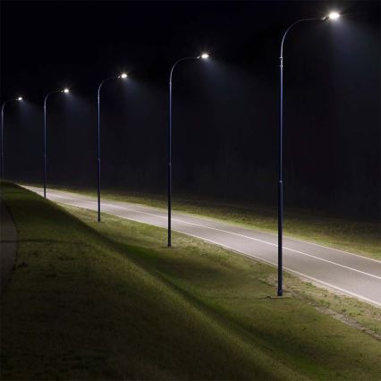 Farola LED LED/30W/230V 6500K IP65