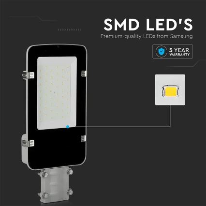 Farola LED SAMSUNG CHIP LED/30W/230V 6400K IP65