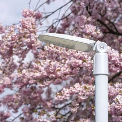 Farola LED SOLIS LED/30W/230V 3000K IP65