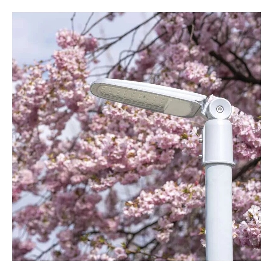 Farola LED SOLIS LED/30W/230V 3000K IP65