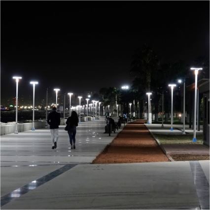 Farola solar LED con sensor LUVIA LED/15W/3,2V 4000K IP54 5400 mAh + mando a distancia