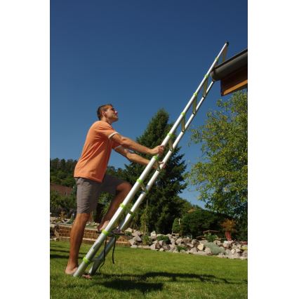 Fieldmann - Escalera telescópica de 3,8 m