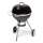 Fieldmann - Parrilla de carbón negro/cromo