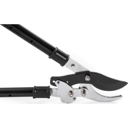 Fieldmann - Tijeras de podar telescópicas con palanca