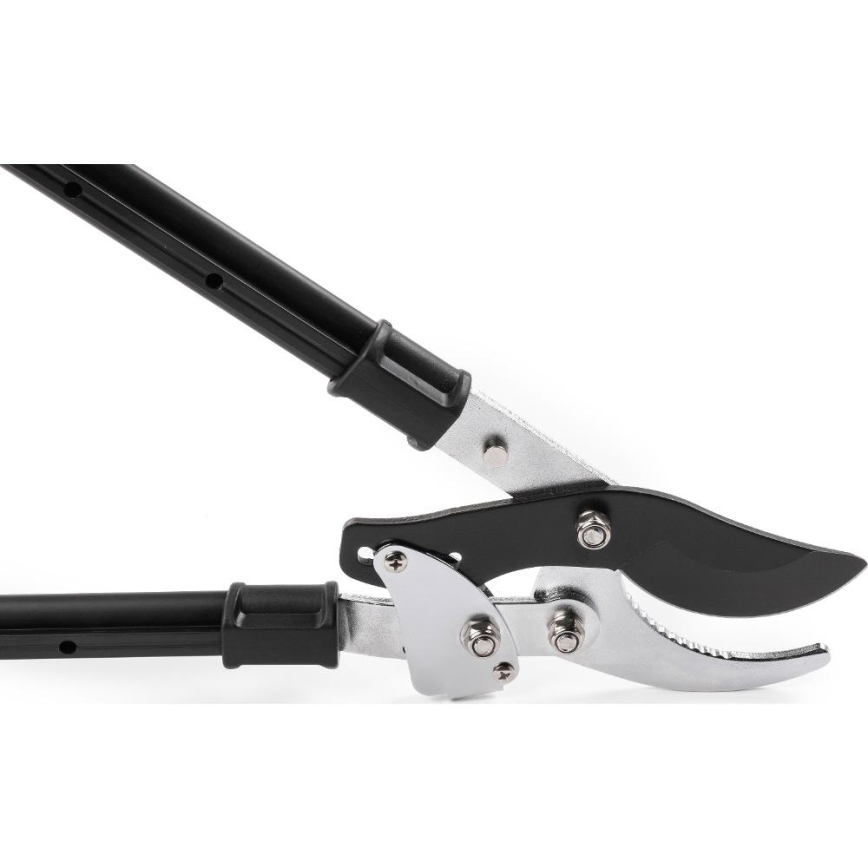 Fieldmann - Tijeras de podar telescópicas con palanca