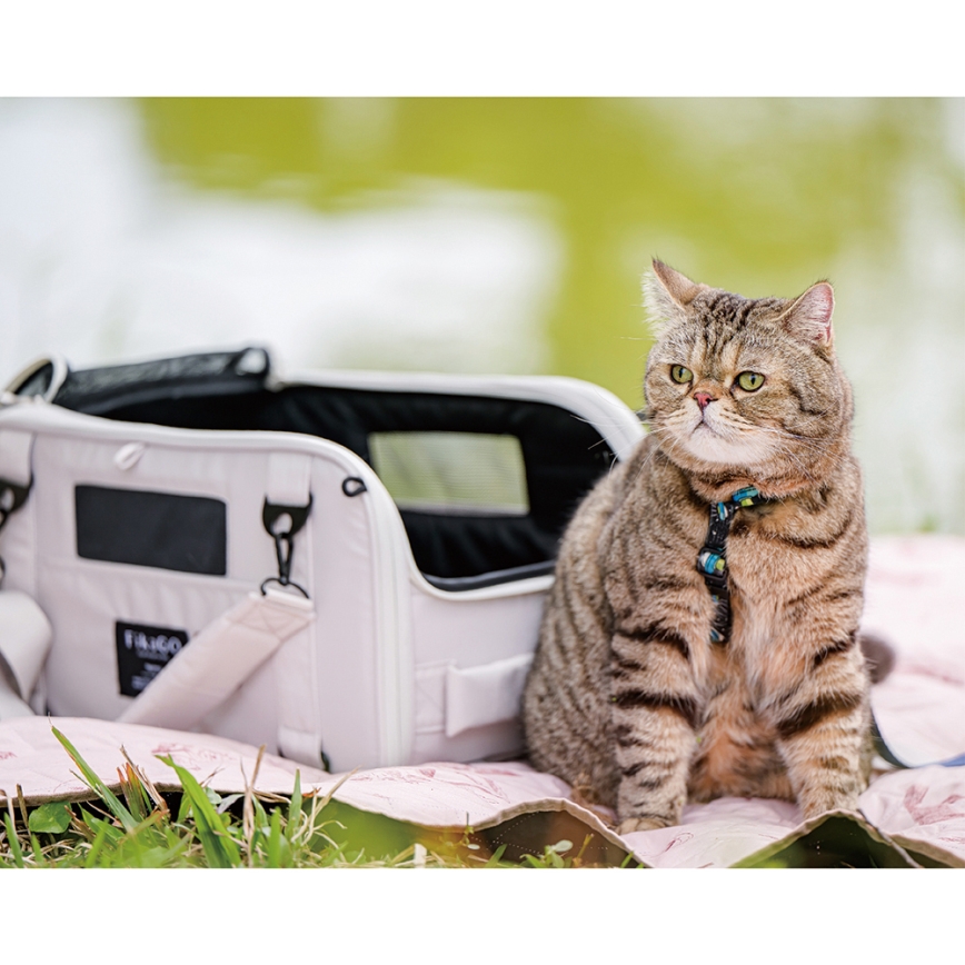 Fikago - Bolsa de transporte para perros y gatos TRUFFLE Creamy Cloud