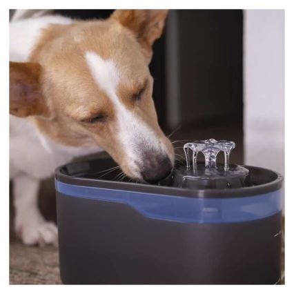 Filtros para fuentes de agua PET-902 4 piezas