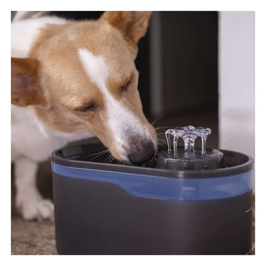 Filtros para fuentes de agua PET-902 4 piezas