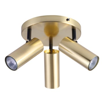 Foco COLLY 3xGU10/15W/230V dorado