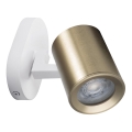 Foco de pared LAURIN 1xGU10/10W/230V latón/blanco