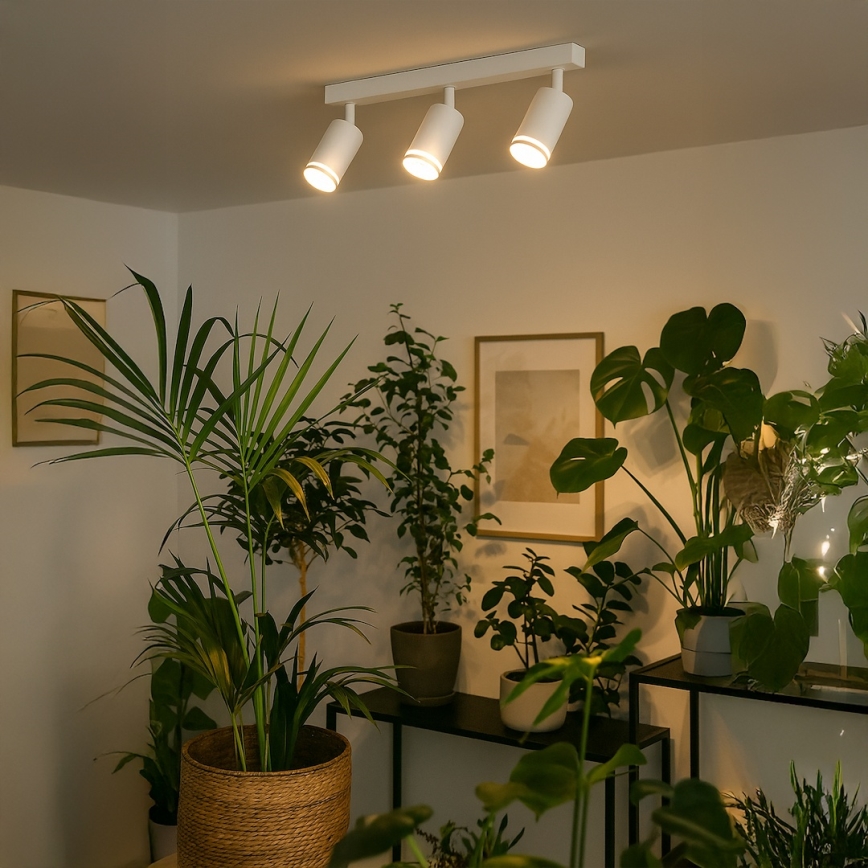 Foco direccional PIPE 3xGU10/10W/230V blanco