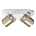 Foco LAURIN 2xGU10/10W/230V latón/blanco