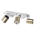 Foco LAURIN 3xGU10/10W/230V latón/blanco