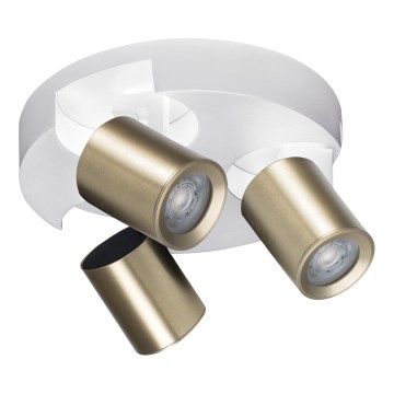 Foco LAURIN 3xGU10/10W/230V latón/blanco