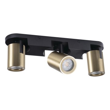 Foco LAURIN 3xGU10/10W/230V latón/negro