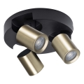 Foco LAURIN 3xGU10/10W/230V latón/negro
