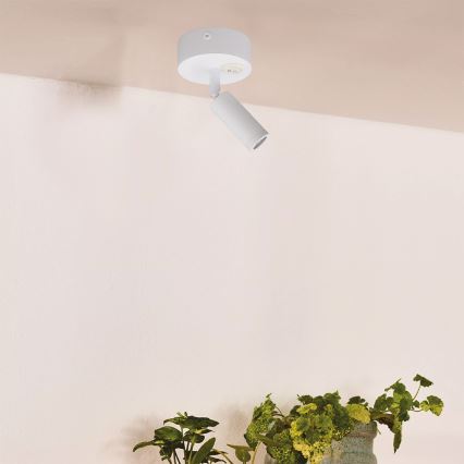 Foco LED de pared ARISTON LED/3W/230V 3000K blanco