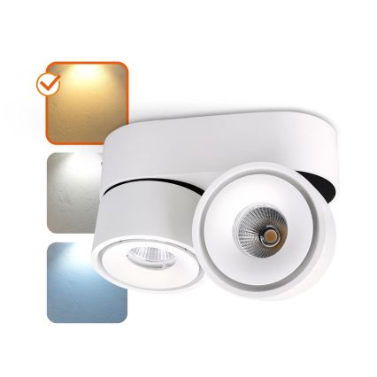 Foco empotrable LED regulable LAHTI MINI 2xLED/9W/230V 3000K CRI 90 blanco