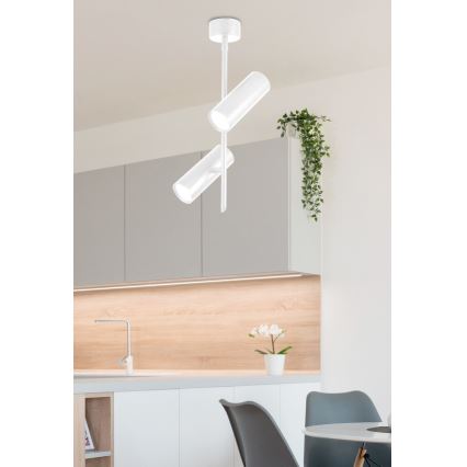 Foco LED TUBA 2xLED/10W/230V blanco