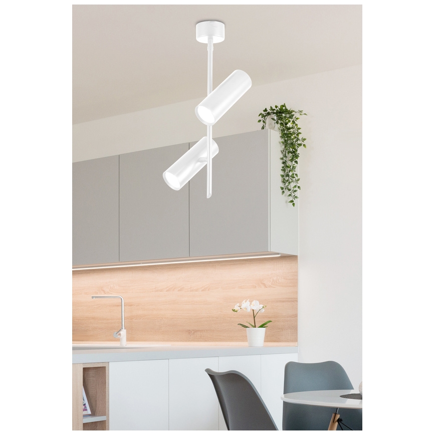 Foco LED TUBA 2xLED/10W/230V blanco