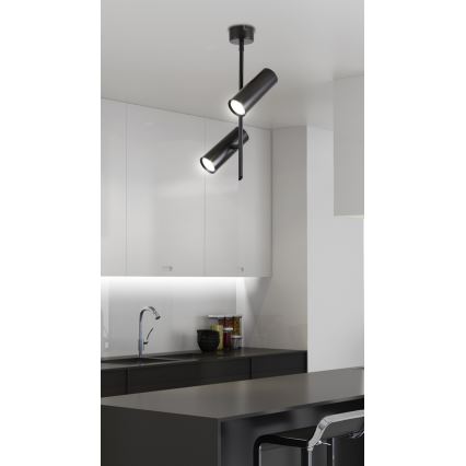 Foco LED TUBA 2xLED/10W/230V negro