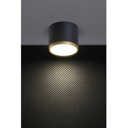 Foco LED TUBA LED/9W/230V negro/dorado