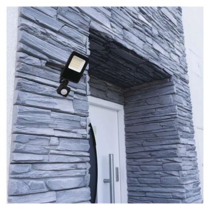 Proyector LED con sensor VISIO LED/20W/230V 4000K IP65