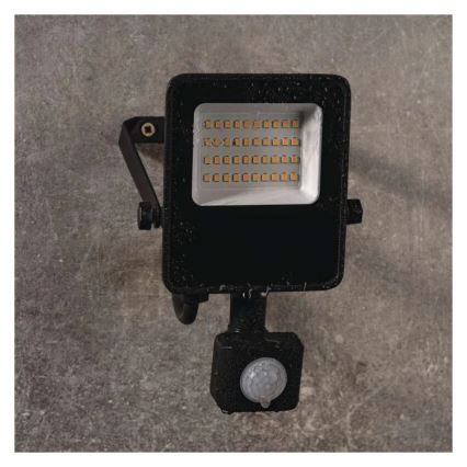 Proyector LED con sensor VISIO LED/20W/230V 4000K IP65