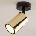 Foco orientable ZOOM 1xGU10/10W/230V dorado/negro